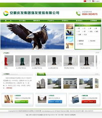 專(zhuān)業(yè)企業(yè)網(wǎng)站建設(shè)方案 龍訊助力網(wǎng)站規(guī)劃設(shè)計(jì)